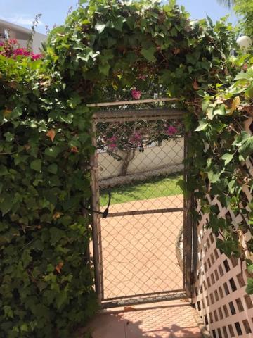 Apartamento South facing Casa Bonnie Playa Flamenca Exterior foto
